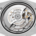 GMT Master II Zombie Steel Yellow Gold Grey Black Bezel 126713 Box Card