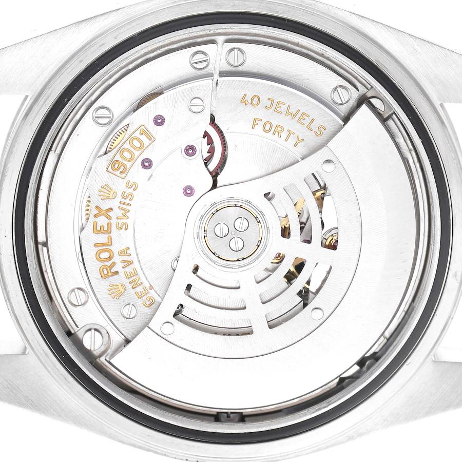 Sky-Dweller Steel White Gold Blue Dial Mens Watch 326934
